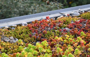 the cost of Arnaby green roof installation